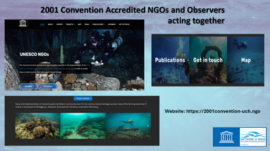 NGO Update to STAB, June 2025 (ENG)