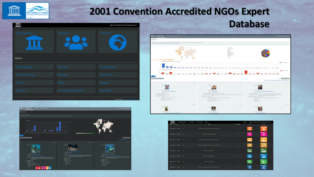 NGO Update to STAB, June 2025 (ENG)