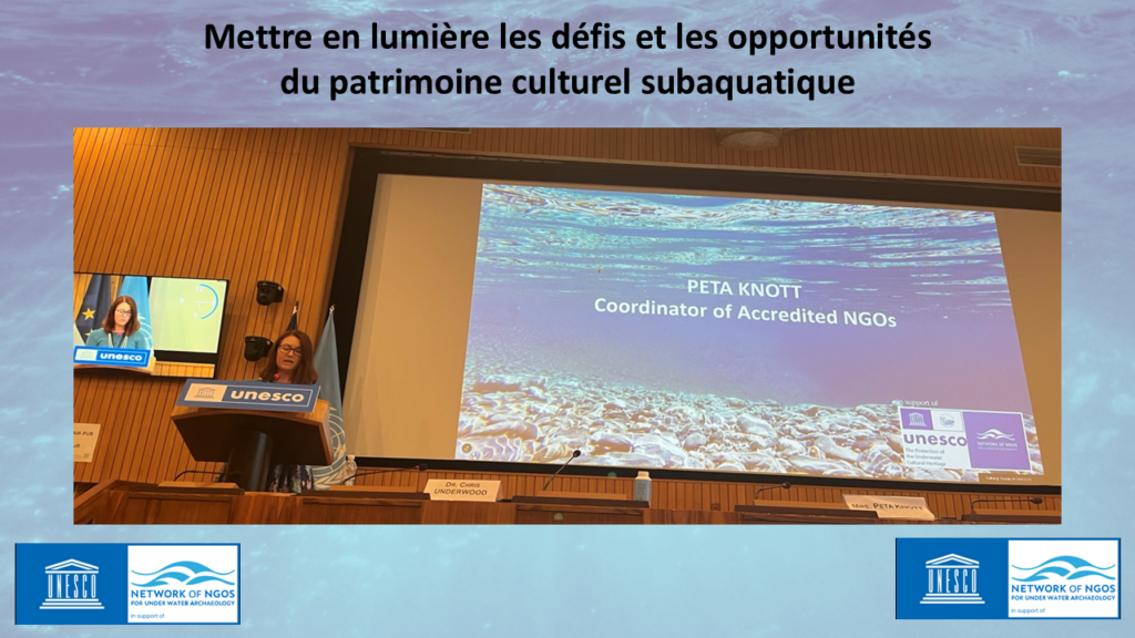 NGO Update to STAB, June 2025 (FR)