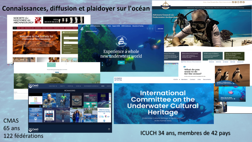 NGO Update to STAB, June 2025 (FR)
