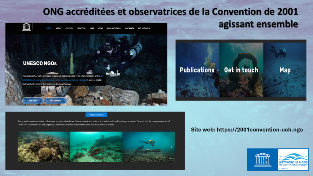 NGO Update to STAB, June 2025 (FR)
