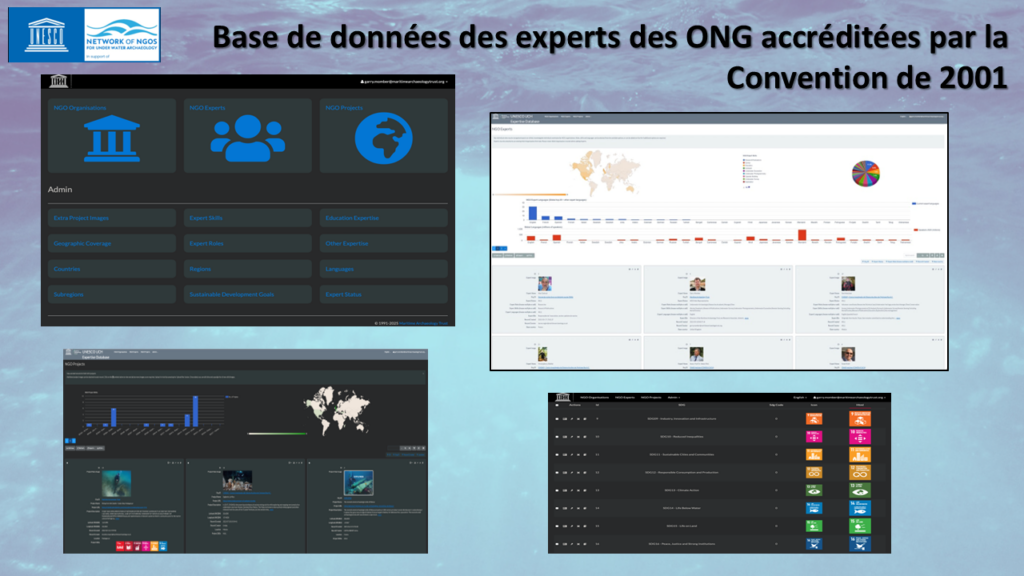 NGO Update to STAB, June 2025 (FR)